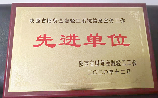 a2020年度陜西省財貿金融輕工系統(tǒng)信息宣傳工作先進單位_副本_副本.jpg